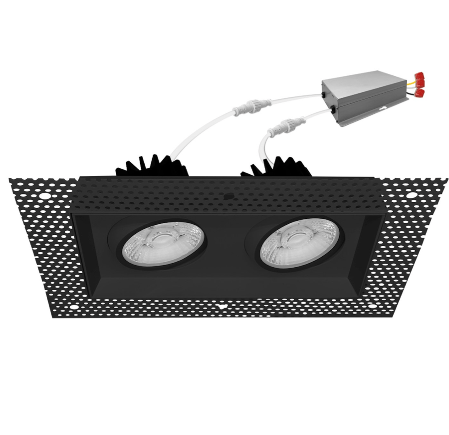 Envision LED 4" Multiple: Trimless Double Head 5-CCT Selectable 30W - Black