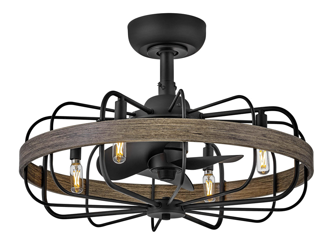 HINKLEY FAN Eli 22" LED Fandelier - HINKLEY - HF905022