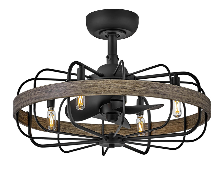 HINKLEY FAN Eli 22" LED Fandelier - HINKLEY - HF905022