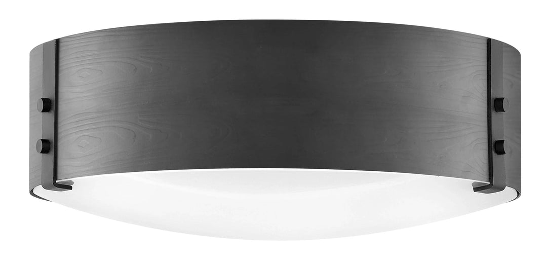 HINKLEY Outdoor Sawyer - HINKLEY - 29203BK