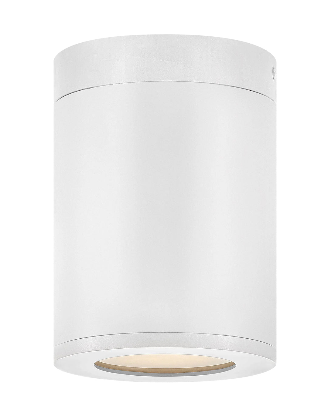 HINKLEY Outdoor Silo - HINKLEY - 13592SW-LL