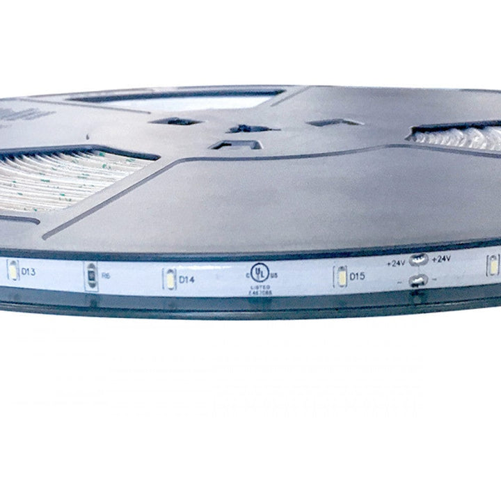 Richee Lighting Richee Lighting - Accent Light Tape Light, IP54, 24V, 1W, 3000K, 100 ft