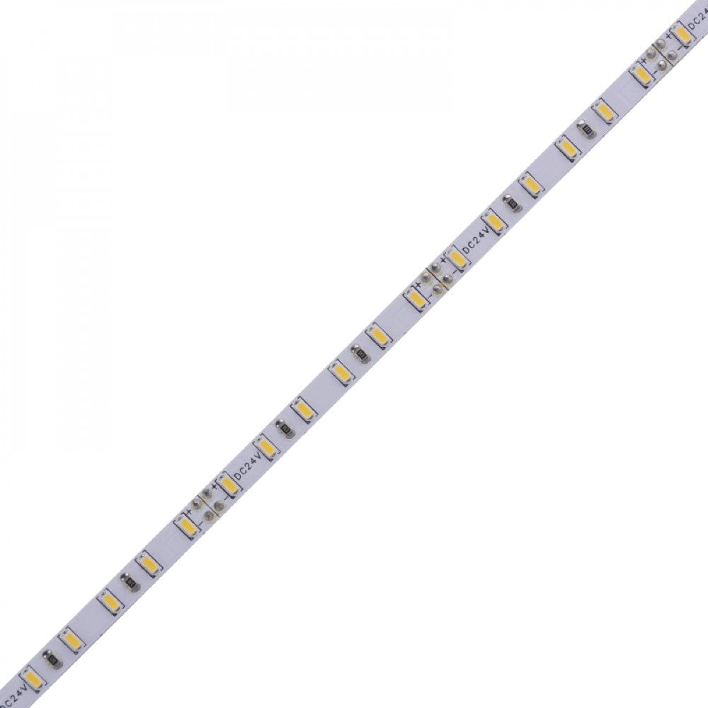 Richee Lighting Richee Lighting - High Brightness Tape light, 24V, 4W, 6000K, 100 ft