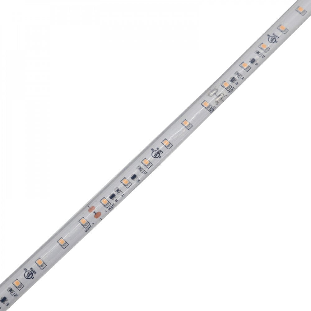 Richee Lighting Richee Lighting - Long Run Outdoor Accent Tape Light, IP67, 24V, 0.73W, 2700K, 100 ft