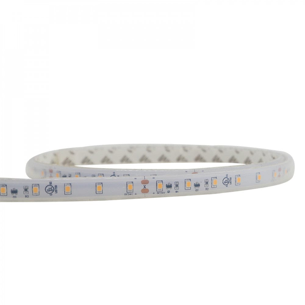Richee Lighting Richee Lighting - Long Run Outdoor Accent Tape Light, IP67, 24V, 0.73W, 2700K, 100 ft