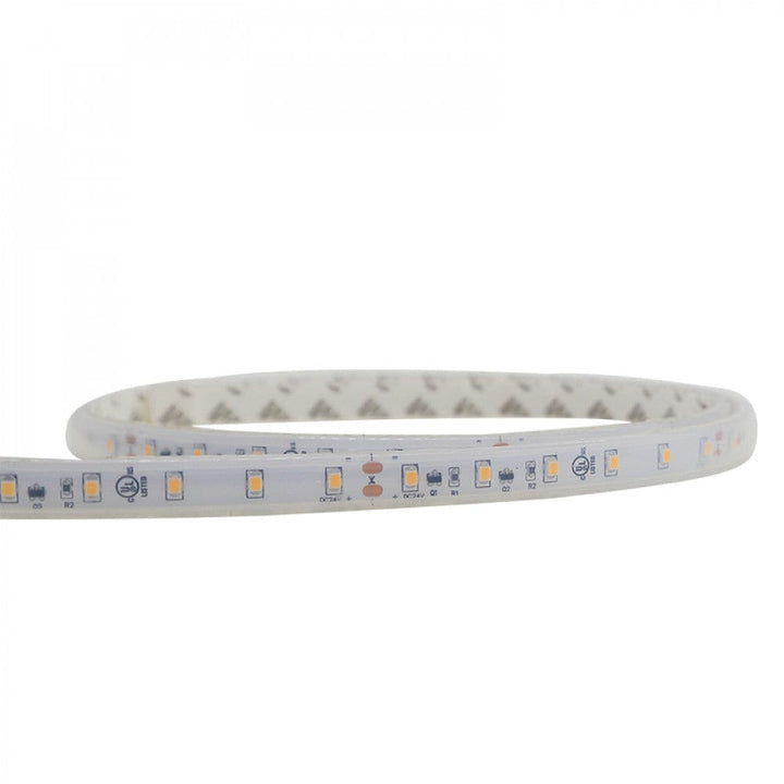 Richee Lighting Richee Lighting - Long Run Outdoor Accent Tape Light, IP67, 24V, 0.73W, 2700K, 100 ft
