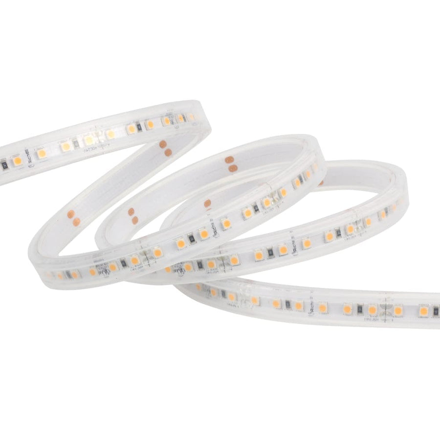 Richee Lighting Richee Lighting - Outdoor Accent Light Tape Light, SMD, IP67, 24V, 3W, 2700K, 16.4 ft