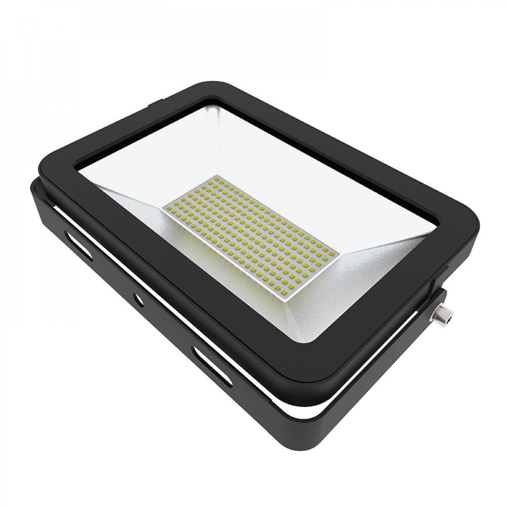 Richee Lighting Richee Lighting - Slim Led Driver On Board Flood Light, 100W, 5000K - Black
