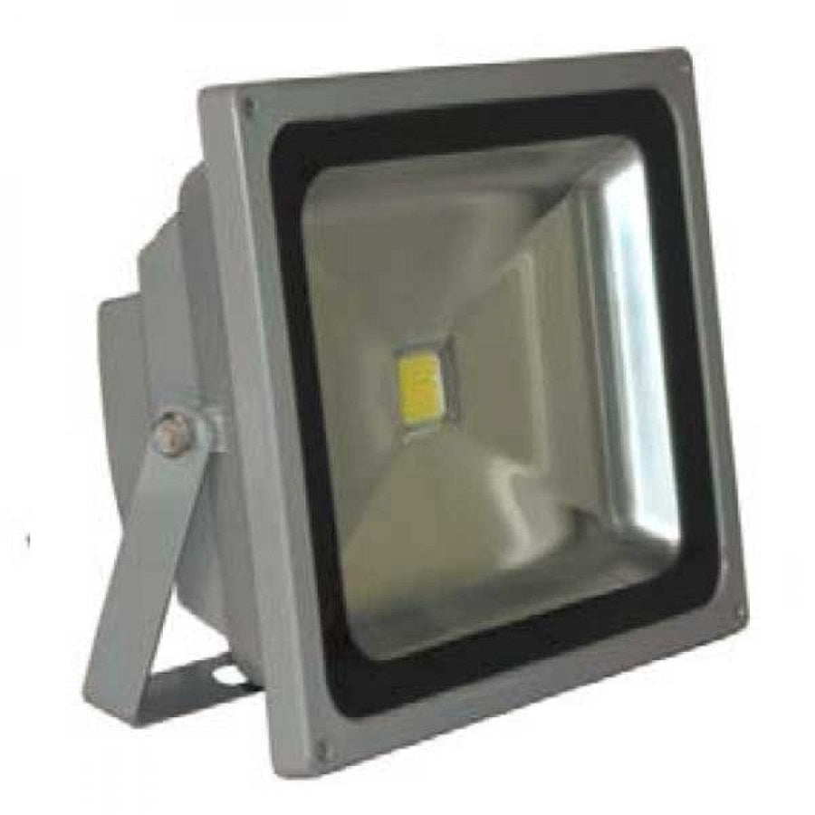 Richee Lighting Richee Lighting - Trunnion Flood Light w/ Remote RGB, 50W - Gray