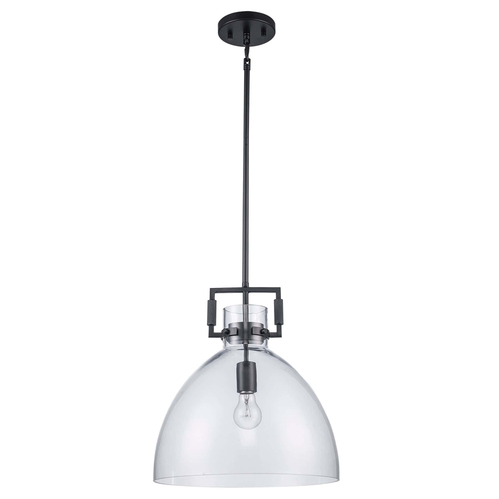 Trans Globe 15" Briar 1-light with Clear Glass Shade -  Black