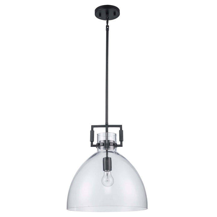 Trans Globe 15" Briar 1-light with Clear Glass Shade -  Black