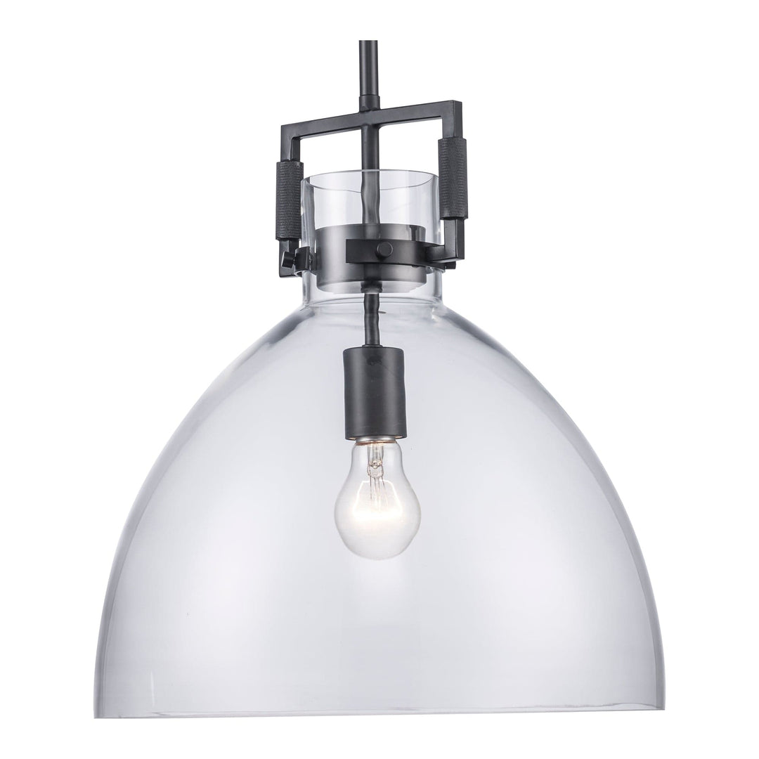 Trans Globe 15" Briar 1-light with Clear Glass Shade -  Black