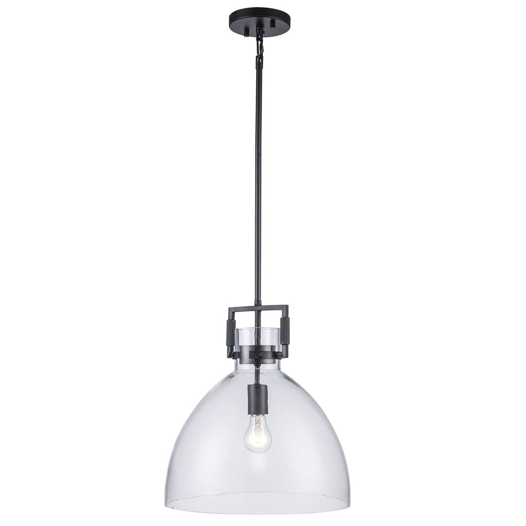 Trans Globe 15" Briar 1-light with Clear Glass Shade -  Black