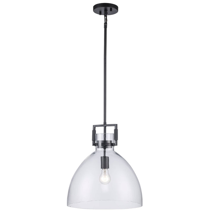 Trans Globe 15" Briar 1-light with Clear Glass Shade -  Black