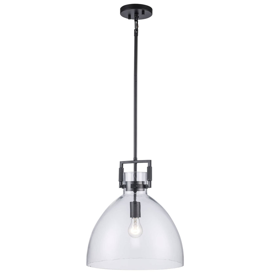 Trans Globe 15" Briar 1-light with Clear Glass Shade -  Black