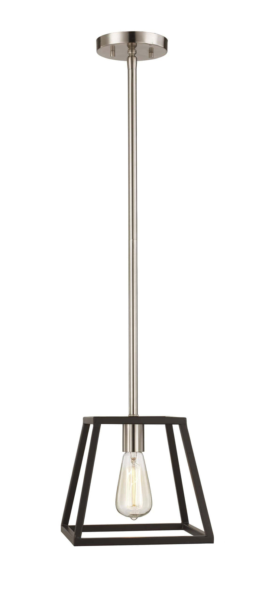 Trans Globe Adams 9.25" wide Edison Bulb Frame - Black / Brushed Nickel