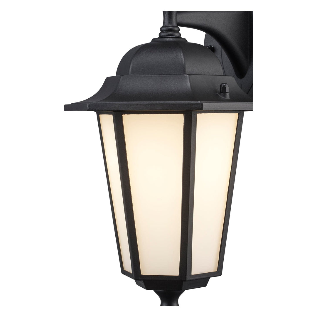 Trans Globe Alexander Outdoor 1-Light Frosted Glass and Metal Coach Wall Lantern - Black / Frosted