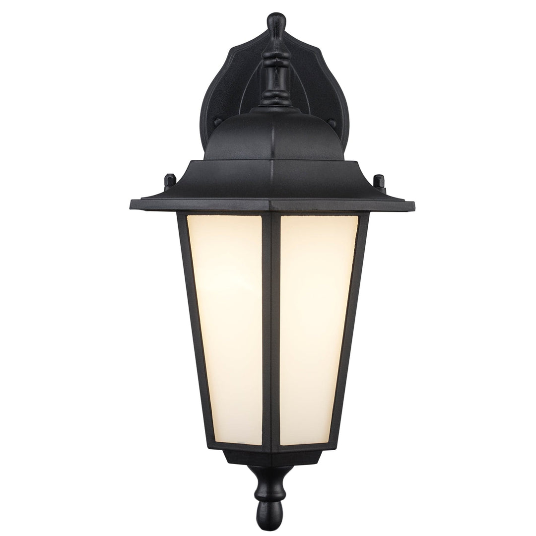 Trans Globe Alexander Outdoor 1-Light Frosted Glass and Metal Coach Wall Lantern - Black / Frosted