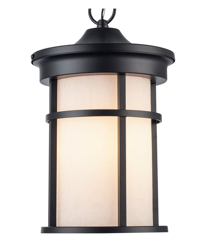 Trans Globe Avalon 1 - Light Outdoor Hanging Pendant Light with Open Base - Black