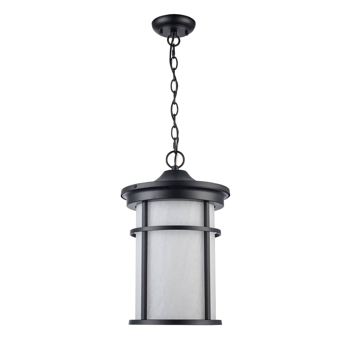 Trans Globe Avalon 1 - Light Outdoor Hanging Pendant Light with Open Base - Black