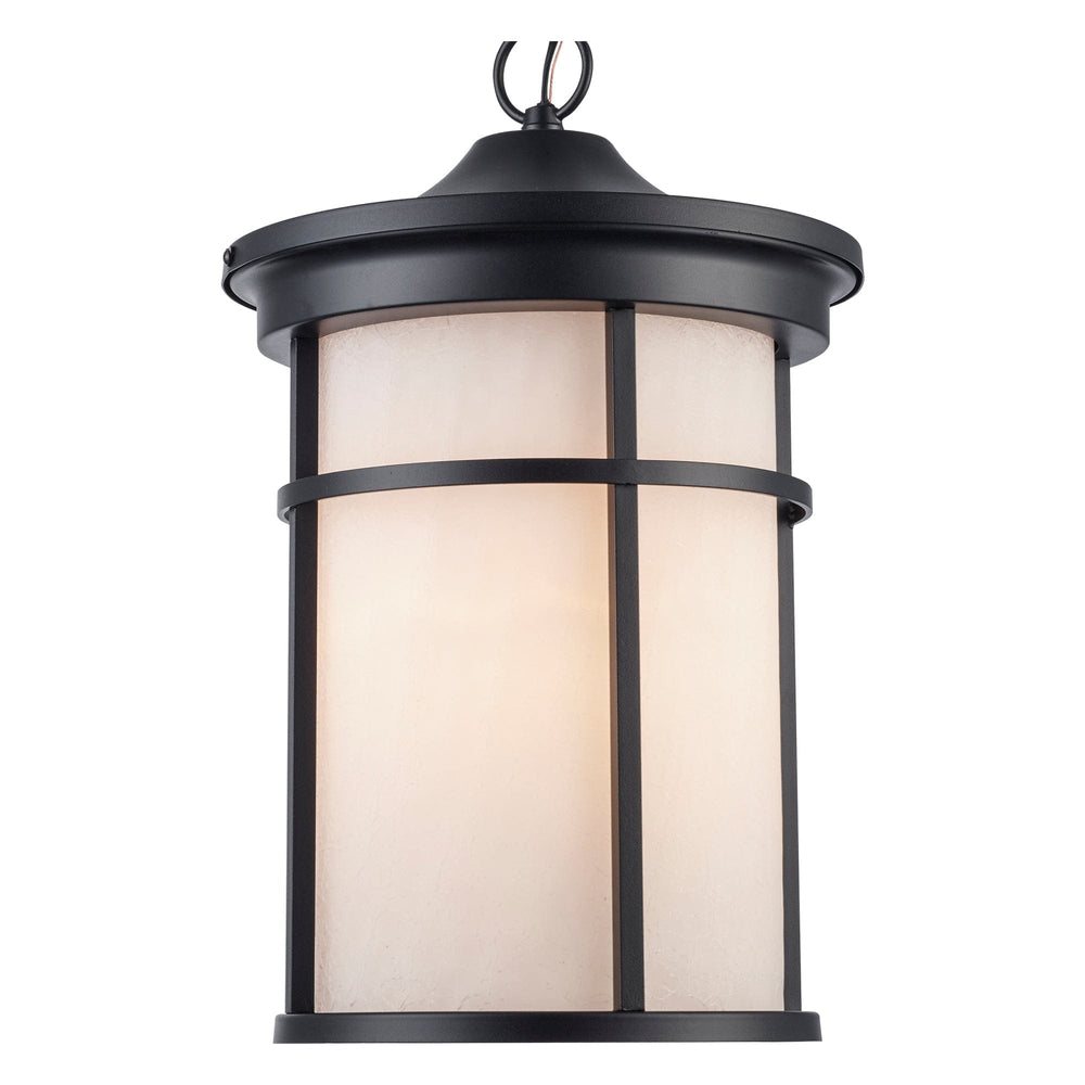 Trans Globe Avalon 1 - Light Outdoor Hanging Pendant Light with Open Base - Black