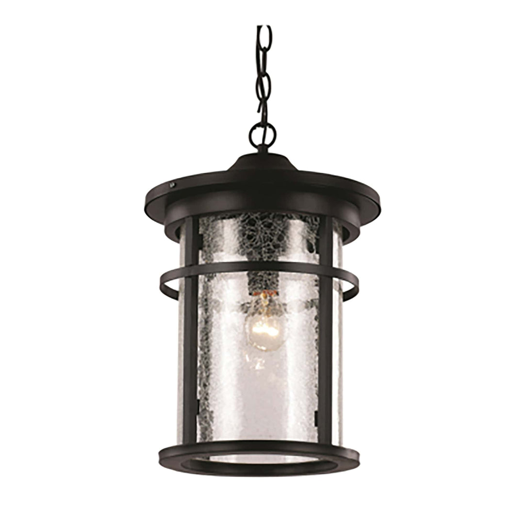 Trans Globe Avalon Crackled Glass Outdoor Hanging Pendant Light with Open Base - Black