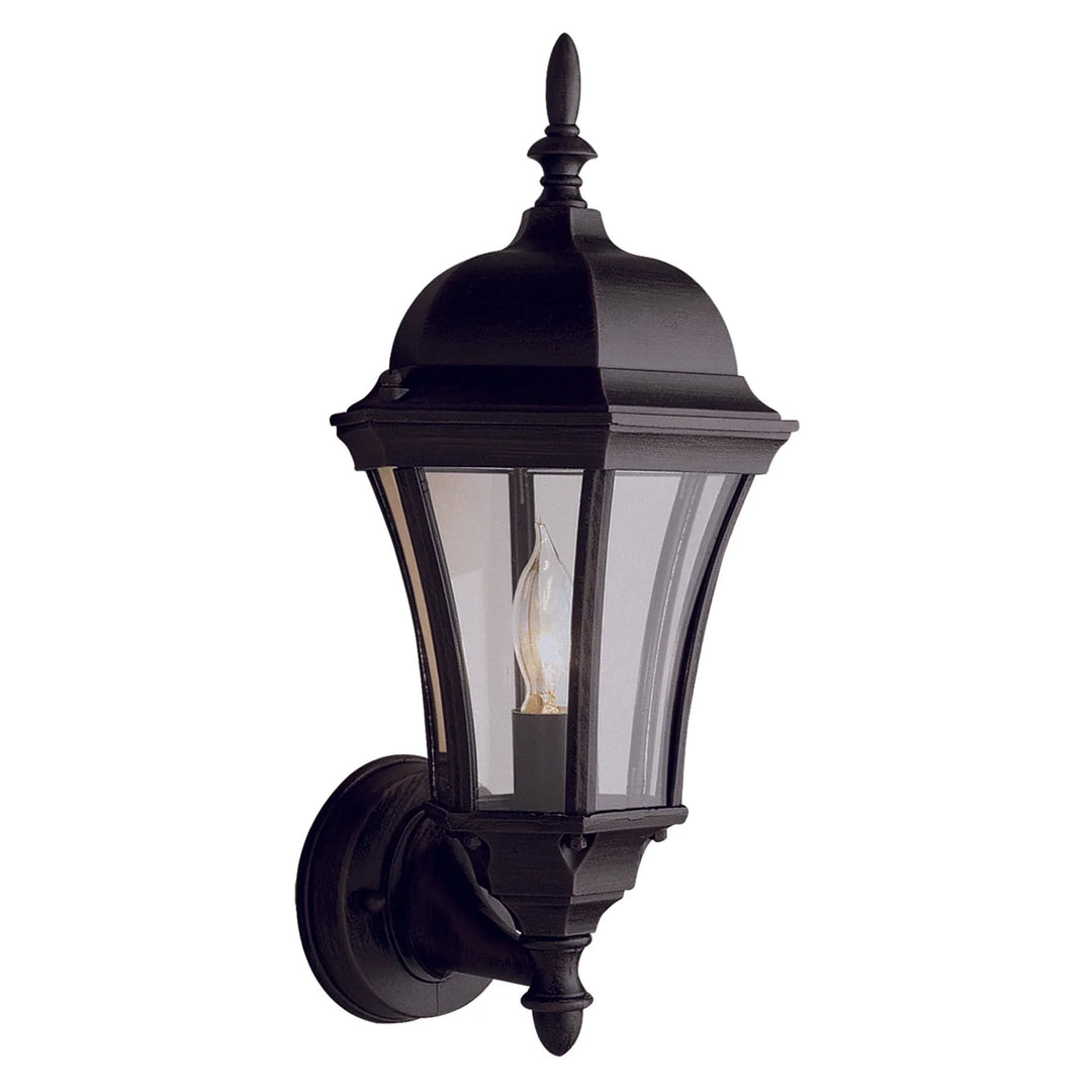 Trans Globe Burlington 1-Light Armed Metal and Glass Outdoor Wall Lantern - Black