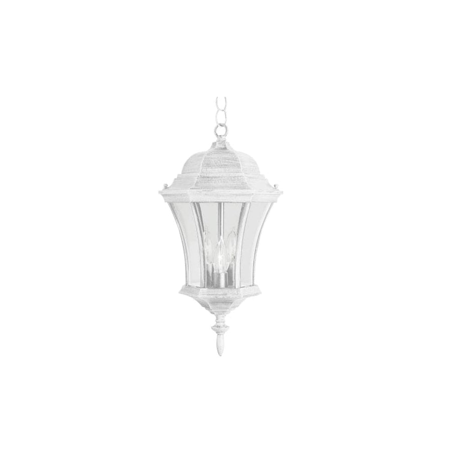 Trans Globe Burlington 3-Light Metal and Glass Hanging Outdoor Pendant with Chain - White