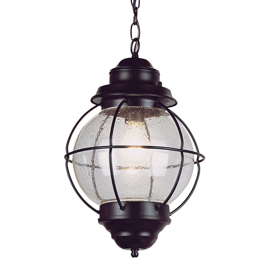 Trans Globe Catalina 19" Hanging Lantern Pendant Light - Black