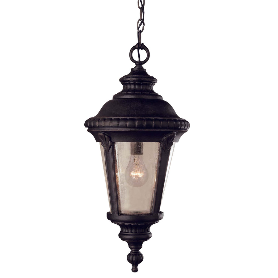 Trans Globe Commons 17" Hanging Lantern - Black