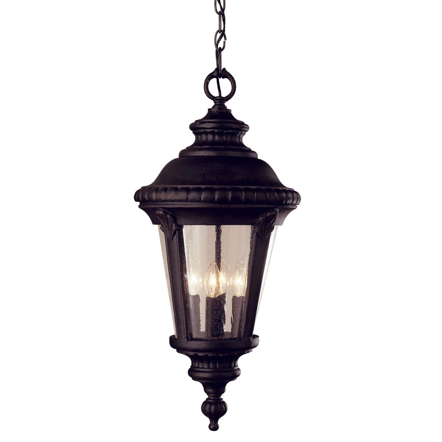 Trans Globe Commons 22" Hanging Lantern -Black