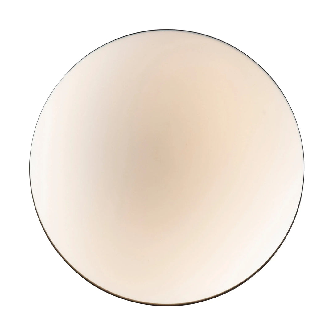 Globe opal glass pendant light with black frame for modern interior or dining room lighting