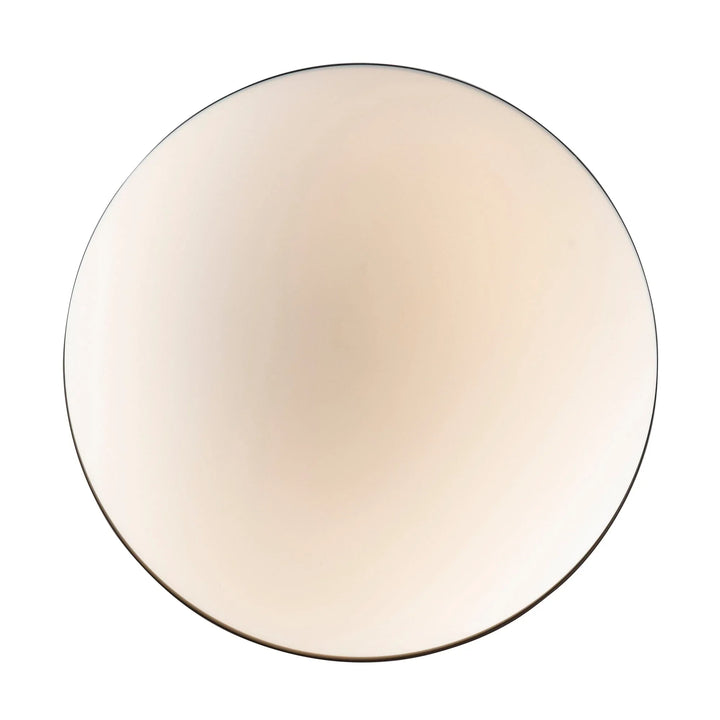 Globe opal glass pendant light with black frame for modern interior or dining room lighting