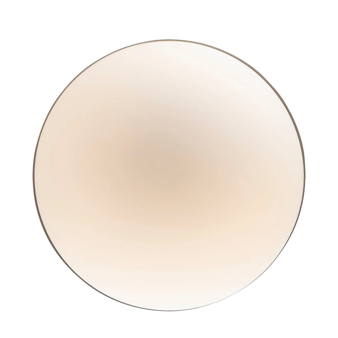 Globe opal glass pendant light with brushed nickel trim for modern interior lighting