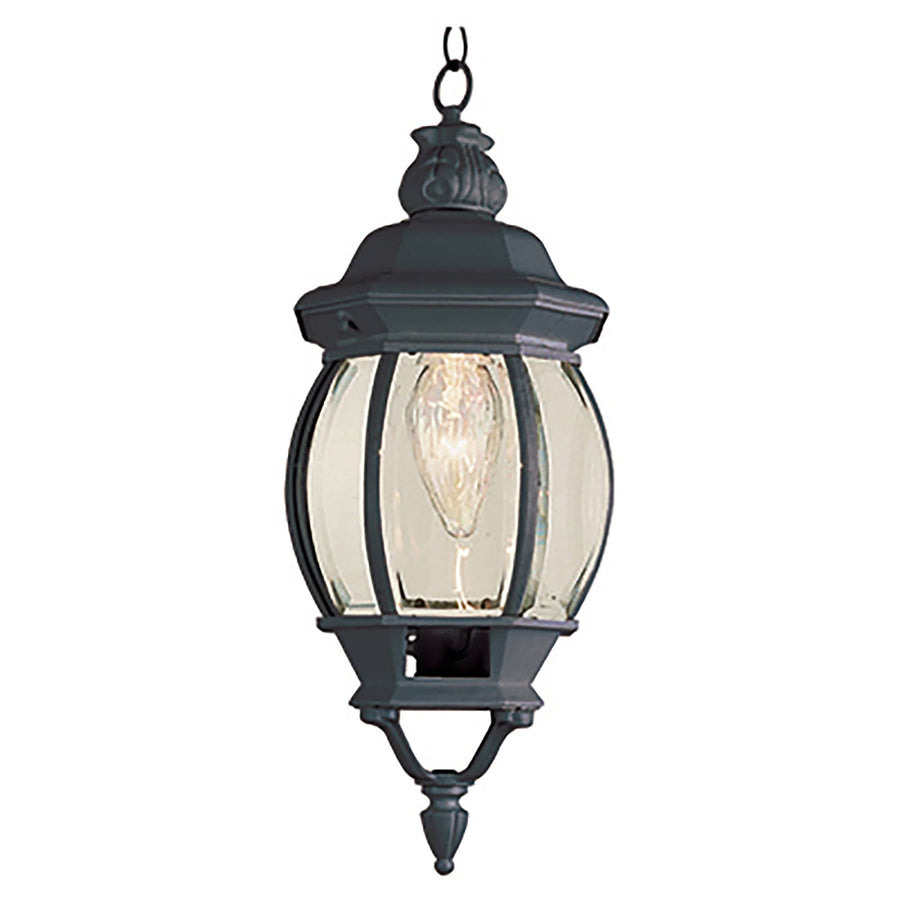 Trans Globe Parsons 1-Light Traditional French-inspired Outdoor Hanging Lantern Pendant with Chain - Black