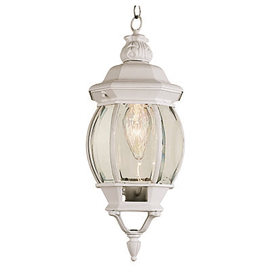 Trans Globe Parsons 1-Light Traditional French-inspired Outdoor Hanging Lantern Pendant with Chain - White
