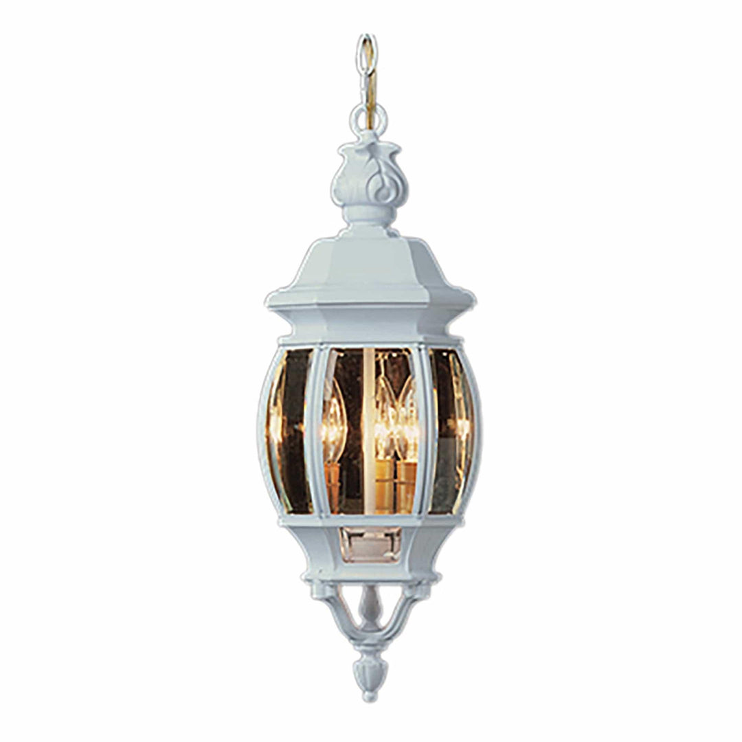 Trans Globe Parsons 3-Light Traditional French-inspired Outdoor Hanging Lantern Pendant with Chain -  White