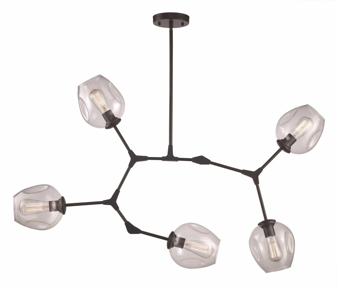 Modern five-light black chandelier with clear glass shades for indoor living room lighting