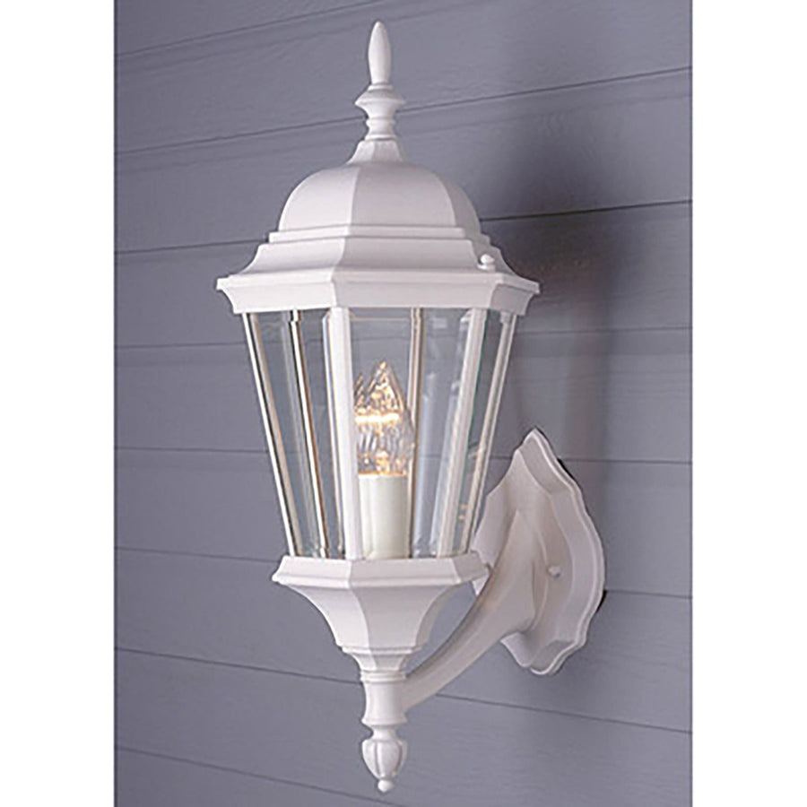 Trans Globe San Rafael 1 0 Light 23" Wall Lantern - White